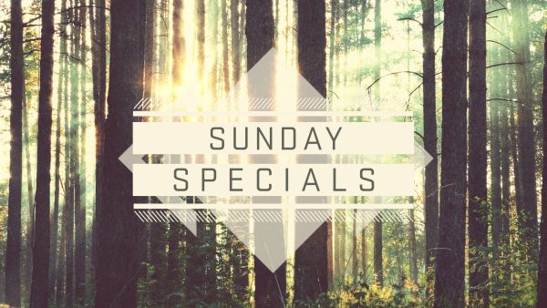 Sunday Specials (One Off Sermons)