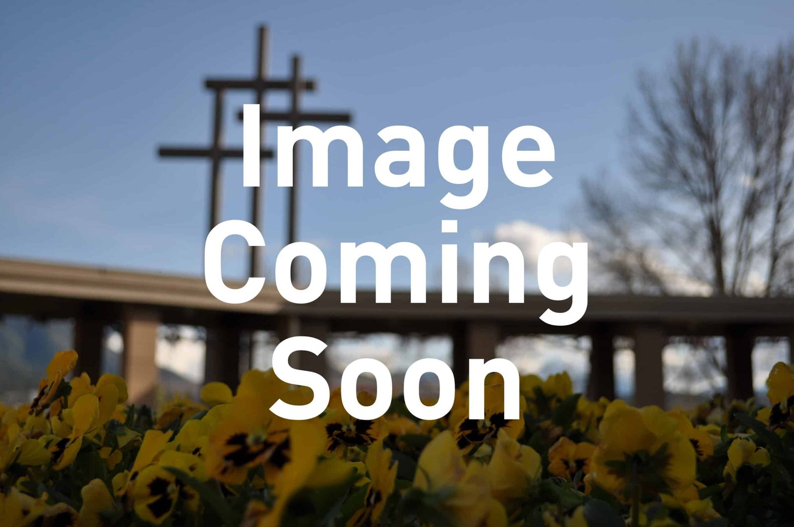 Image Coming Soon Staff