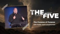 Sunday: The Purpose of Purpose
