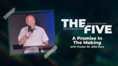 Sunday: A Promise in the Making
